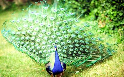 ��ȸ�~����(ͨ��15ƪ)