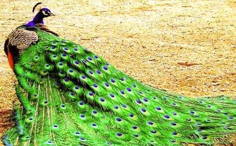 ����Ʒ�����Ŀ�ȸͯԒ����3ƪ