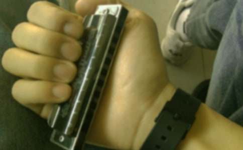 【推薦】口琴作文300字四篇