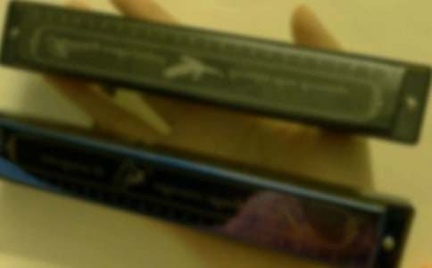 縈繞耳畔的口琴聲初二作文