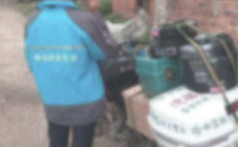 寬帶網上的暑假生活_750字