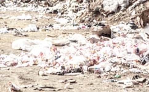 撿垃圾的老爺爺小學作文400字