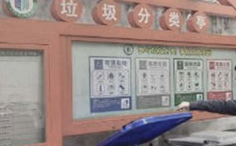 ��������c�����Pϵ������