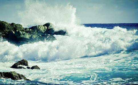 記憶中的一朵浪花作文(10篇)