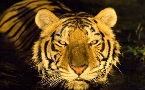 ���B�ϻ���С�W������