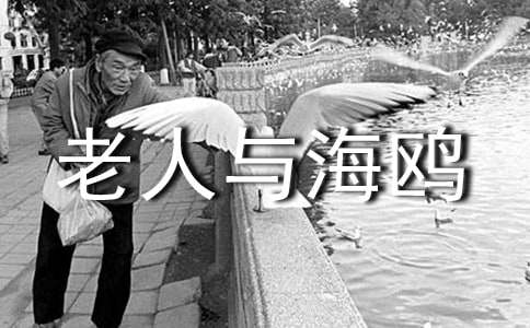 �������c���t������̌W�OӋ