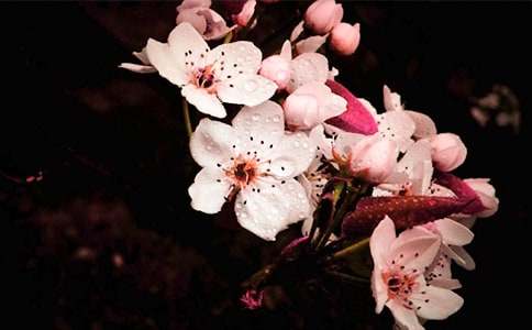 �滨�S������