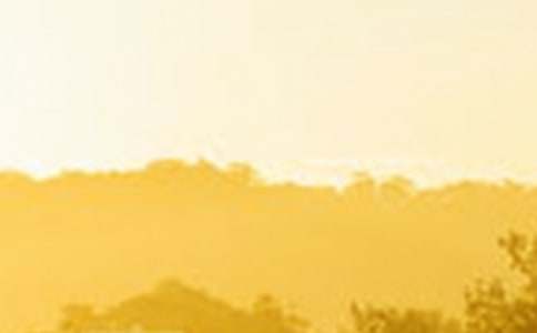 ���^�ڰ����ܵ��_������������