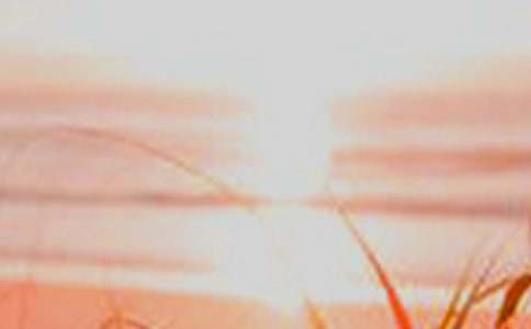 ����֮���������ģ�ͨ��58ƪ��