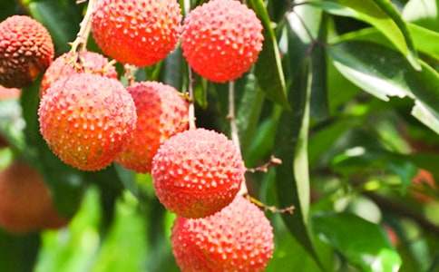 ��֦����600�֣����x107ƪ��