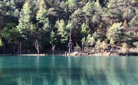 古城記憶麗江作文(通用30篇)