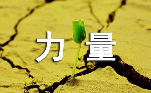 �P�ڰ��ݵ�����������