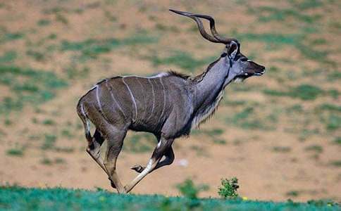 (���T)������Ĺ���m������