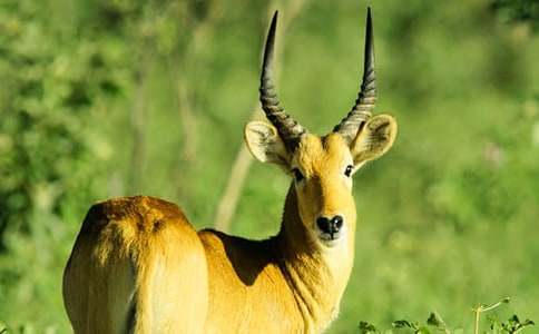 �m������ľ������(6ƪ)