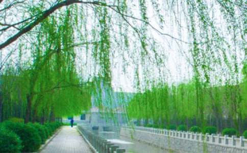 ����������^������400