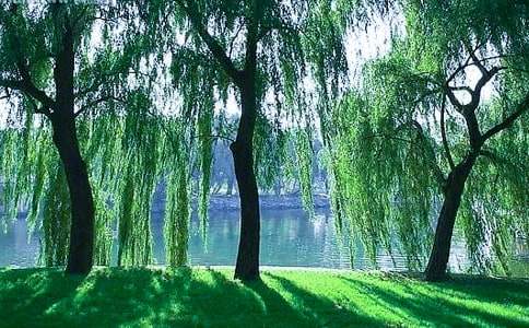 ��������������ģ����x36ƪ��