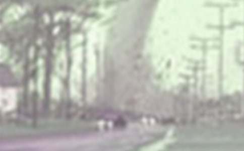 �c�����L���P�����ģ����x22ƪ��