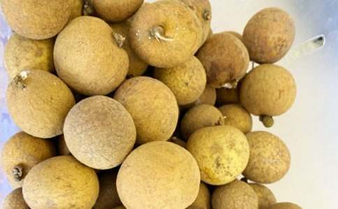 �Ґ۹��l����������10ƪ