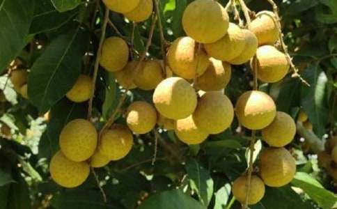 �茑���ۘ�ă�������