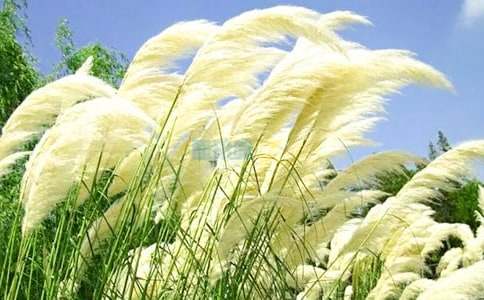 �JȔʎ��������߳������ģ�ͨ��18ƪ��