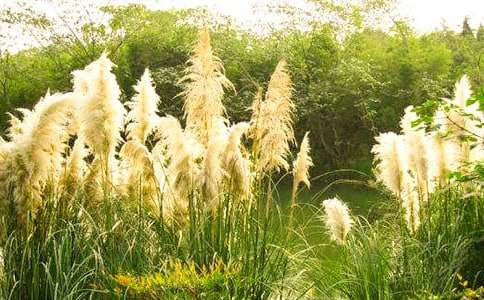 ������JȔ����