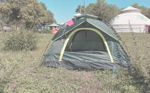 露營作文600字(通用26篇)