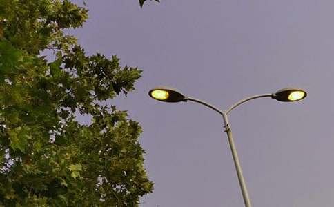 身影,定格在路燈下初二作文