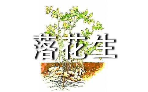 寫落花生小學五年級上冊的作文500字(通用30篇)