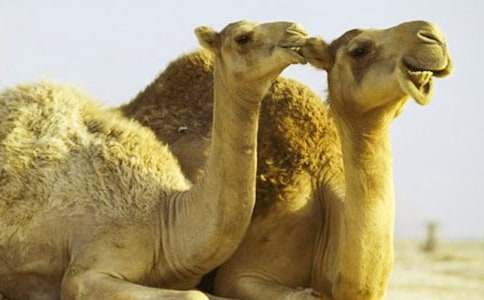 ������500�ֺϼ�9ƪ