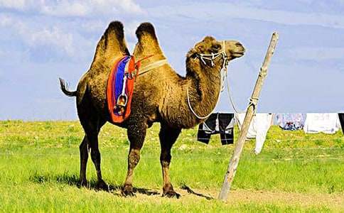 �����]��С�R��������