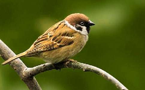 ���ꌑ��ȸ������