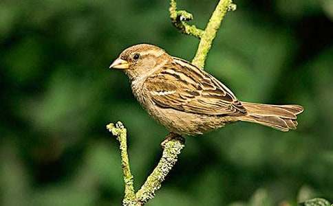 ��ȸ�����γ�������