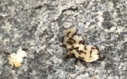 СΛρ�������������