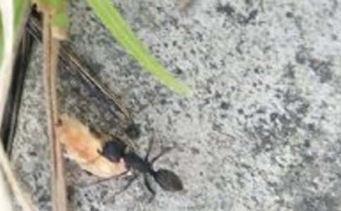 Λρ�Ĵ���800������