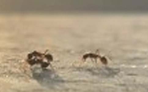 �Ұl�F��Λρˤ�����ĳ�������