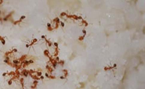 �����ŗ���Λρ��������400��