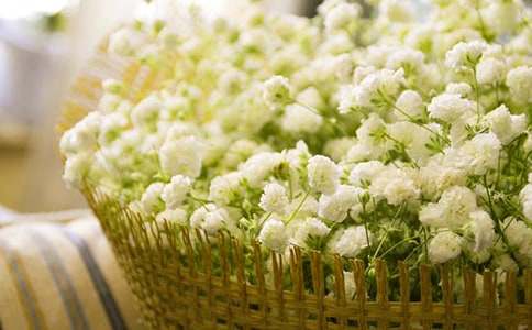 �M���ǵľ����ģ����x11ƪ��