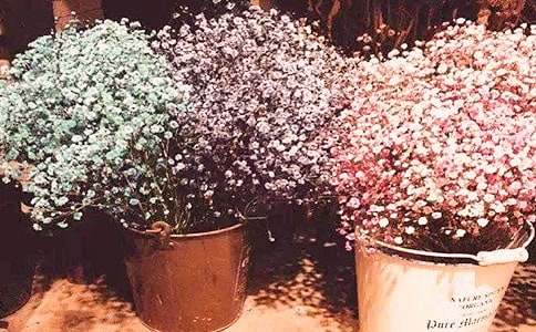 �M����800�����ģ����x35ƪ��