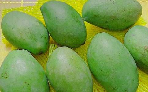 �Ґ۹��l��â������300�֣����x19ƪ��