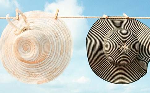 帽子飛走了看圖寫話作文