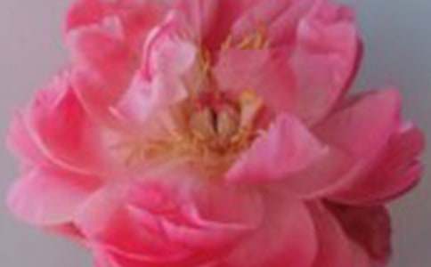 �����]��ٛ��õ������5ƪ