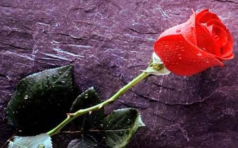 �P��õ�廨������400�֡����x��