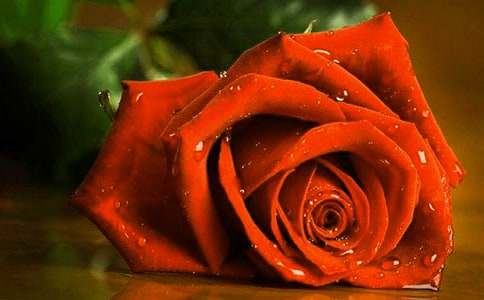 �����T��õ������300����ƪ