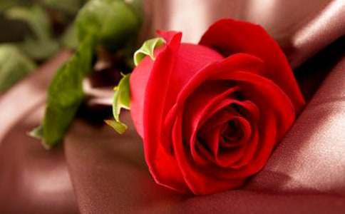 õ�廨���������ģ�ͨ��51ƪ��