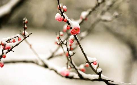 ��÷����С�W����300�֣����x32ƪ��