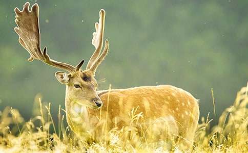 ÷��¹���ģ����x35ƪ��