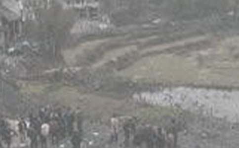 ���Pú�V��������ƪ