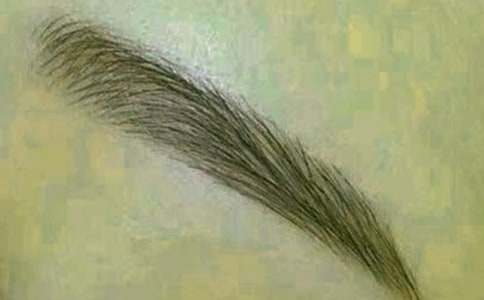 父親的眉毛作文_描寫爸爸900字