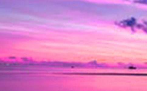 ��B�P����������500�֣�ͨ��8ƪ��