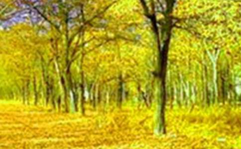 �茑�y���������������ķ���